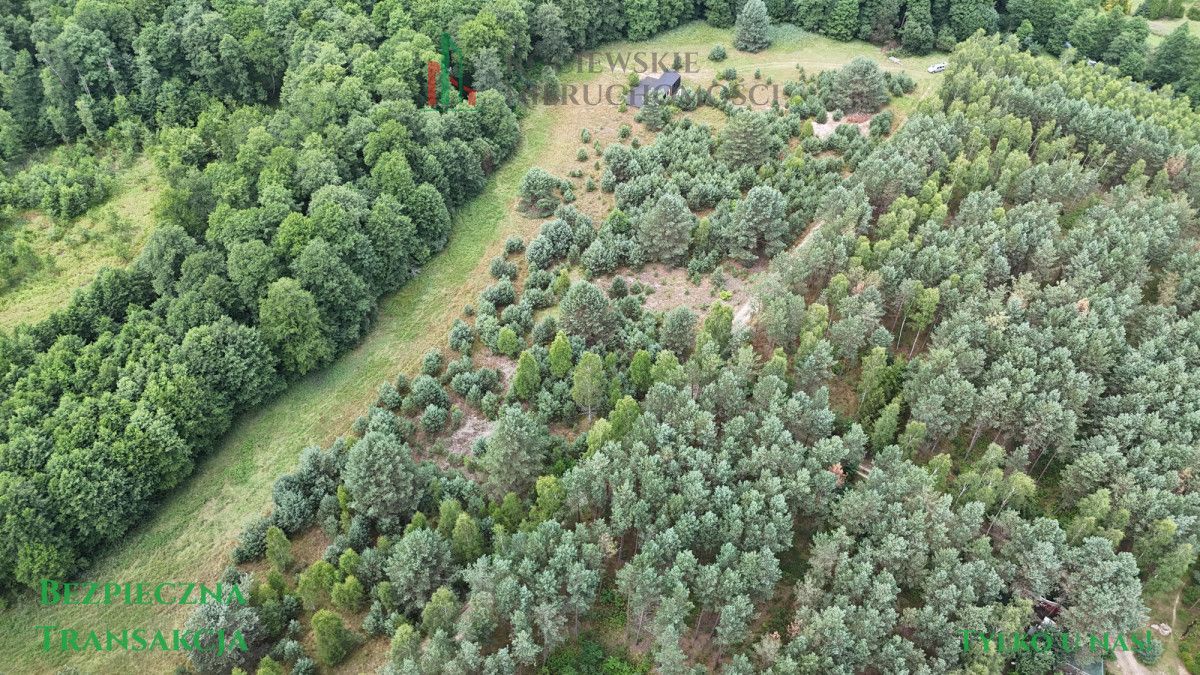 Działka rekreacyjna Zimne Zdroje. Zdjęcie 4