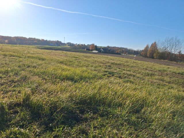 Działka rolno-budowlana Sitnica. Zdjęcie 1