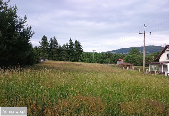 Działka budowlana Sierpnica. Zdjęcie 1