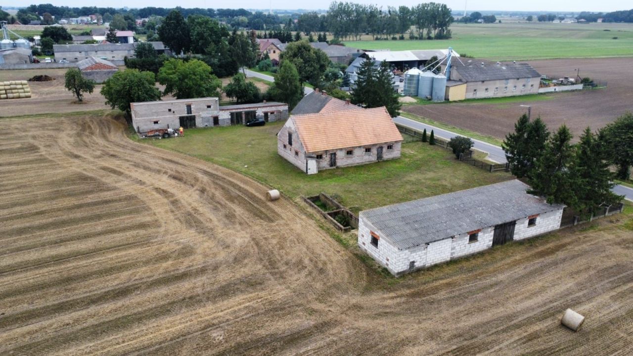 siedlisko Pruszcz. Zdjęcie 7