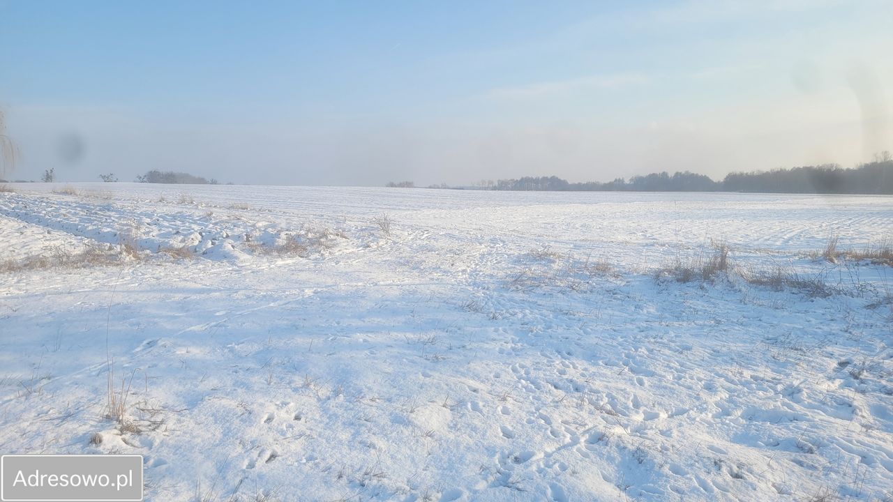 Działka budowlana Szewce, ul. Długa. Zdjęcie 9