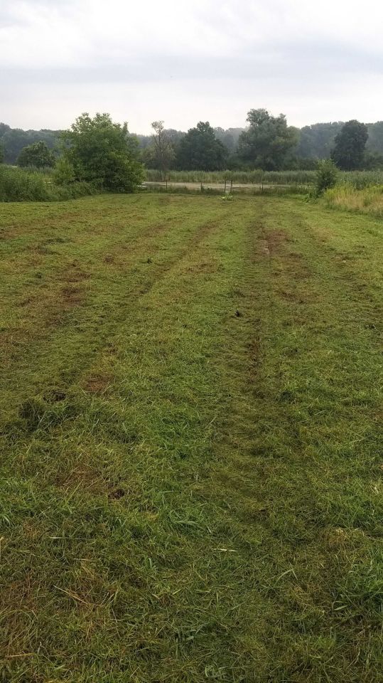 Działka rolna Warszawa Wilanów. Zdjęcie 1