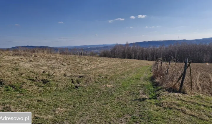 dom wolnostojący, 2 pokoje Lutcza