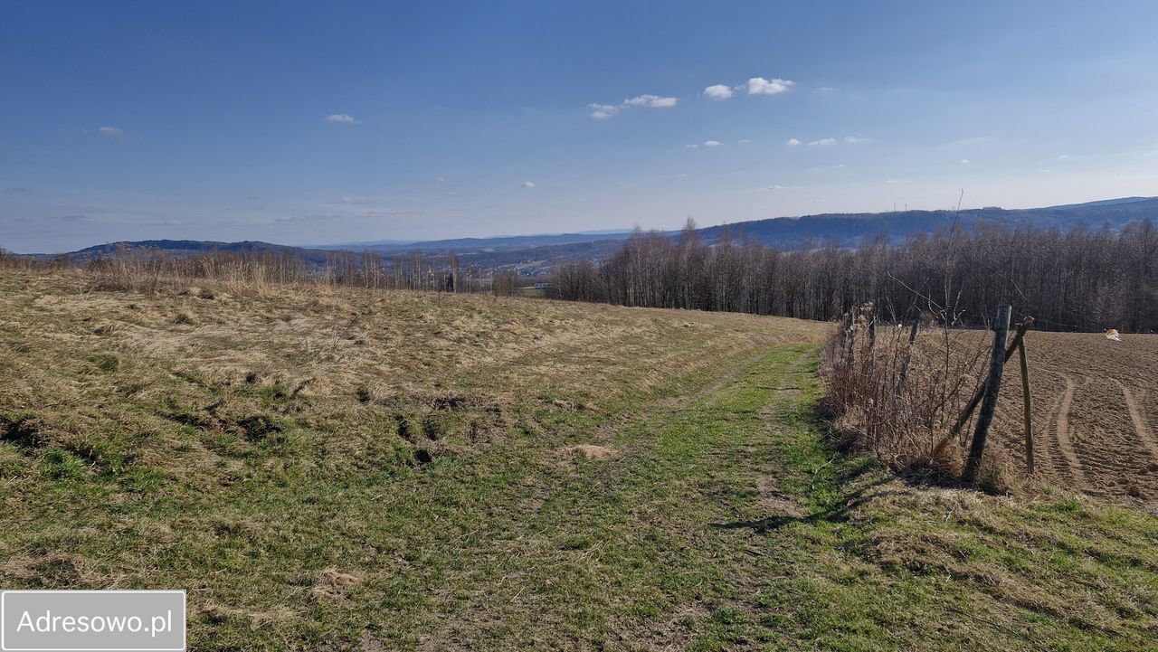 dom wolnostojący, 2 pokoje Lutcza. Zdjęcie 2