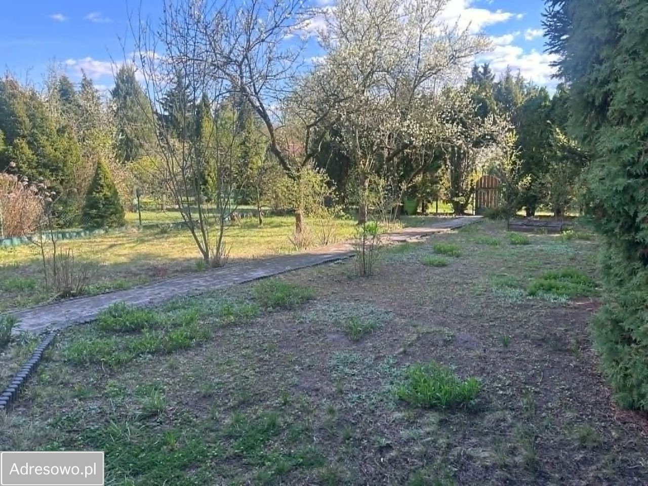 Działka rod Poznań Edwardowo, ul. Bukowska. Zdjęcie 2