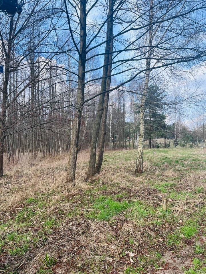 Działka rolna Gorzewo. Zdjęcie 5