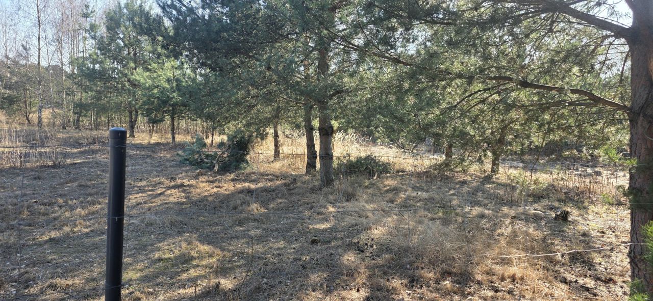 Działka budowlana Sokolniki-Las, Sierpecka. Zdjęcie 6