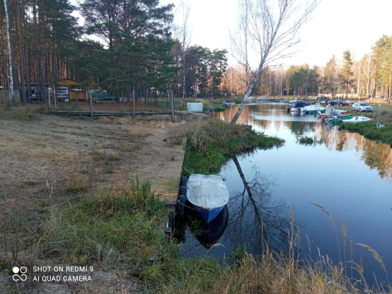 Działka leśna Karolinów. Zdjęcie 6