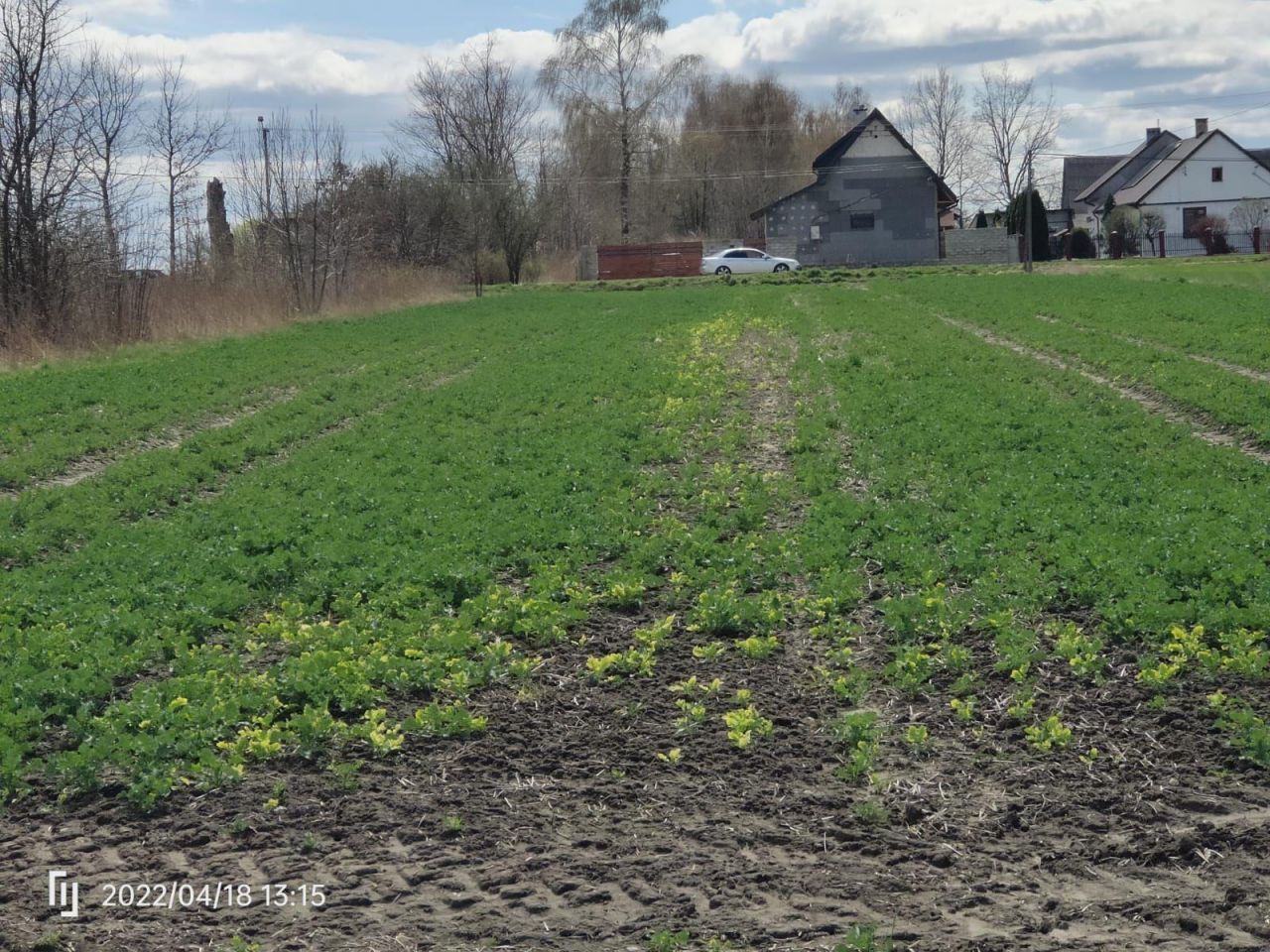 Działka rolno-budowlana Wacławów. Zdjęcie 3