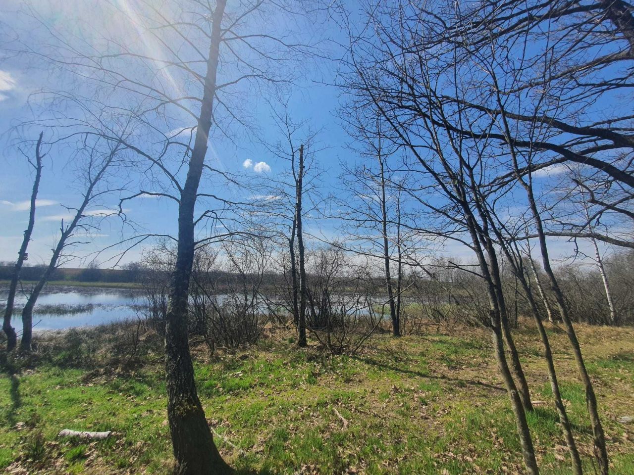 Działka Jezierze. Zdjęcie 6