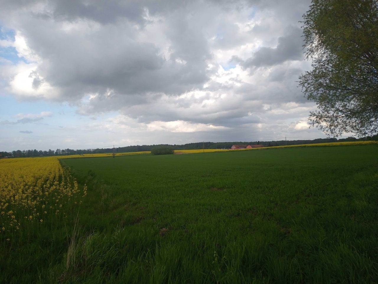 Działka rolno-budowlana Łędławki. Zdjęcie 2