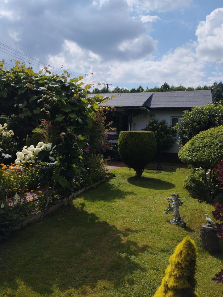 Działka rod Pawlikowice. Zdjęcie 2