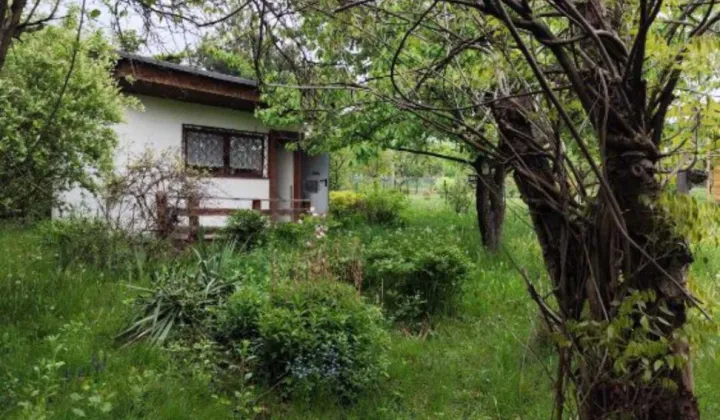Działka rekreacyjna Kielce