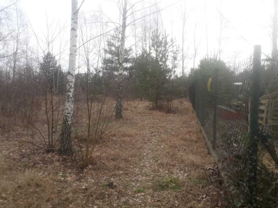 Działka rekreacyjna Marianów. Zdjęcie 2