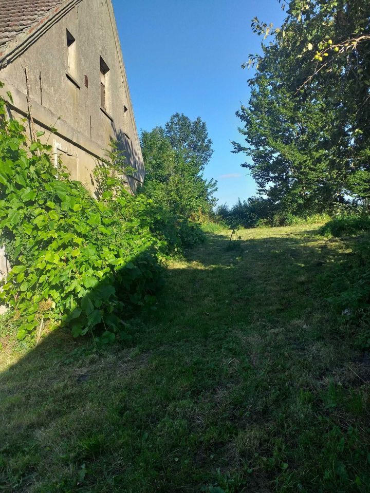 siedlisko Łęgowo. Zdjęcie 6