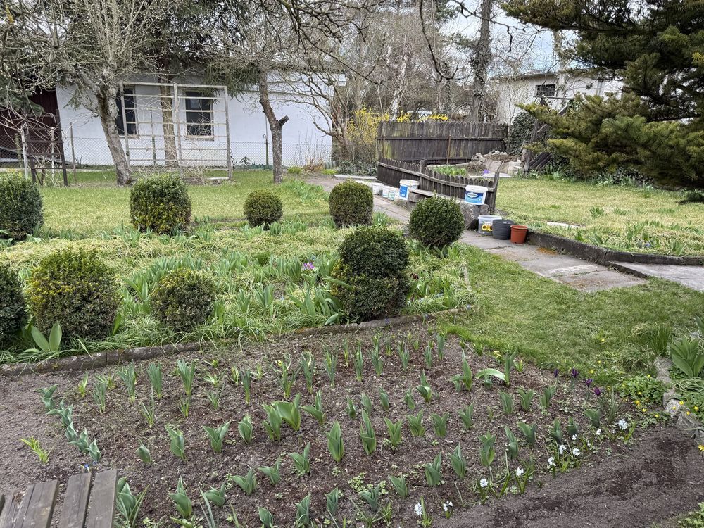 Działka rekreacyjna Poznań Smochowice, ul. Wichrowa. Zdjęcie 2