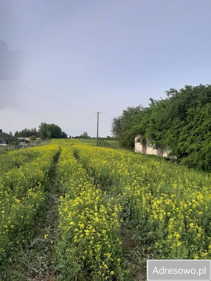 Działka rolno-budowlana Puchaczów, ul. Kazimierza Bogdanowicza. Zdjęcie 2