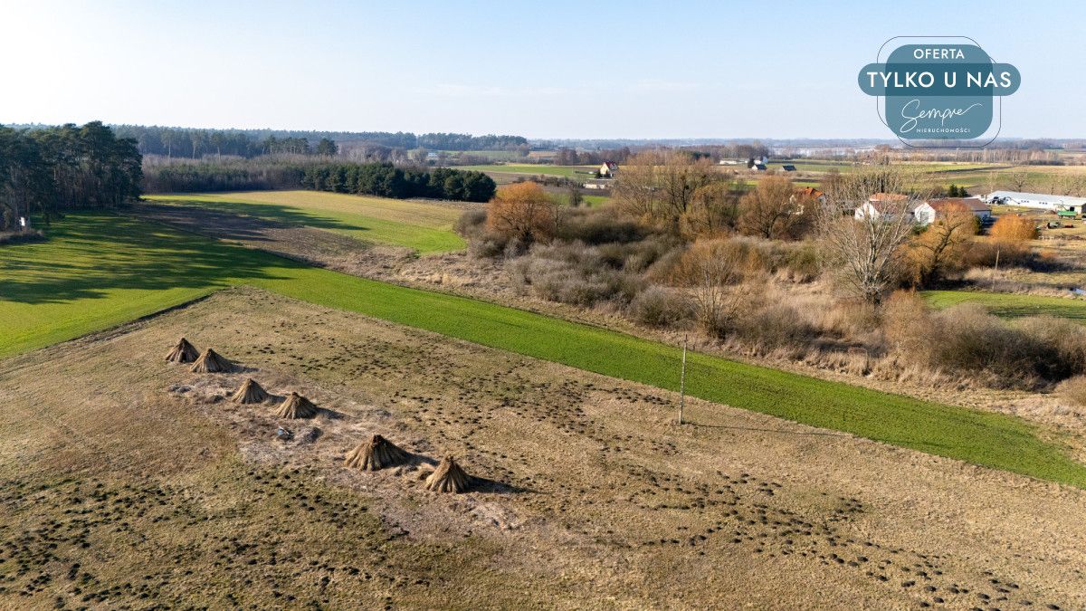 Działka inwestycyjna Łuszczewo. Zdjęcie 7