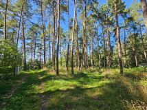 Działka budowlana Kiełpiny. Zdjęcie 3