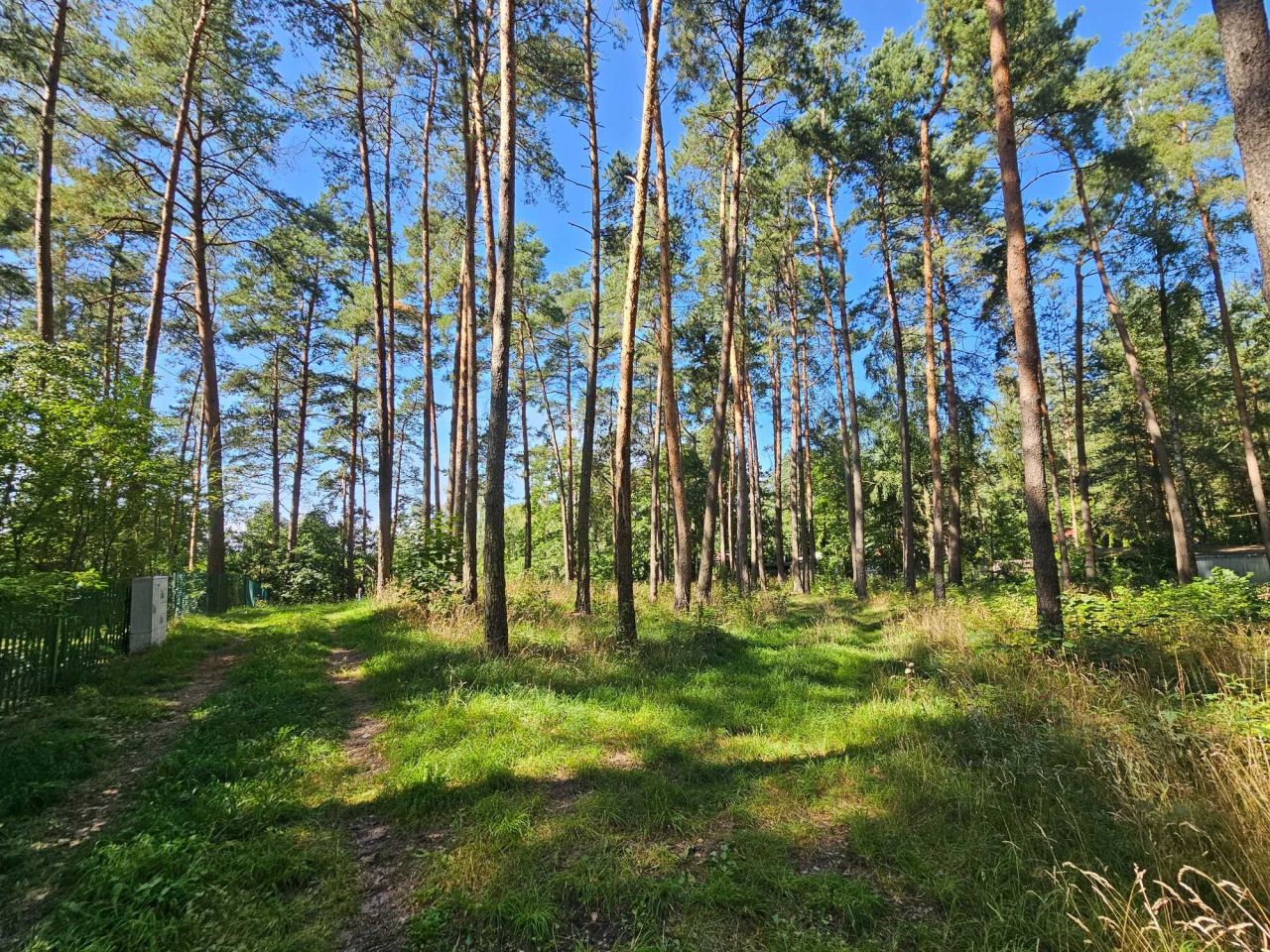 Działka budowlana Kiełpiny. Zdjęcie 5