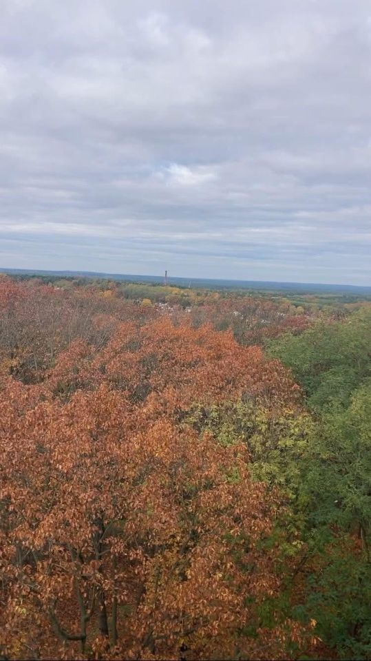 Mieszkanie 2-pokojowe Zielona Góra Przyjaźń, ul. Francuska. Zdjęcie 20