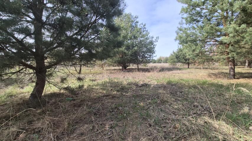 Działka budowlana Dobiesz. Zdjęcie 2