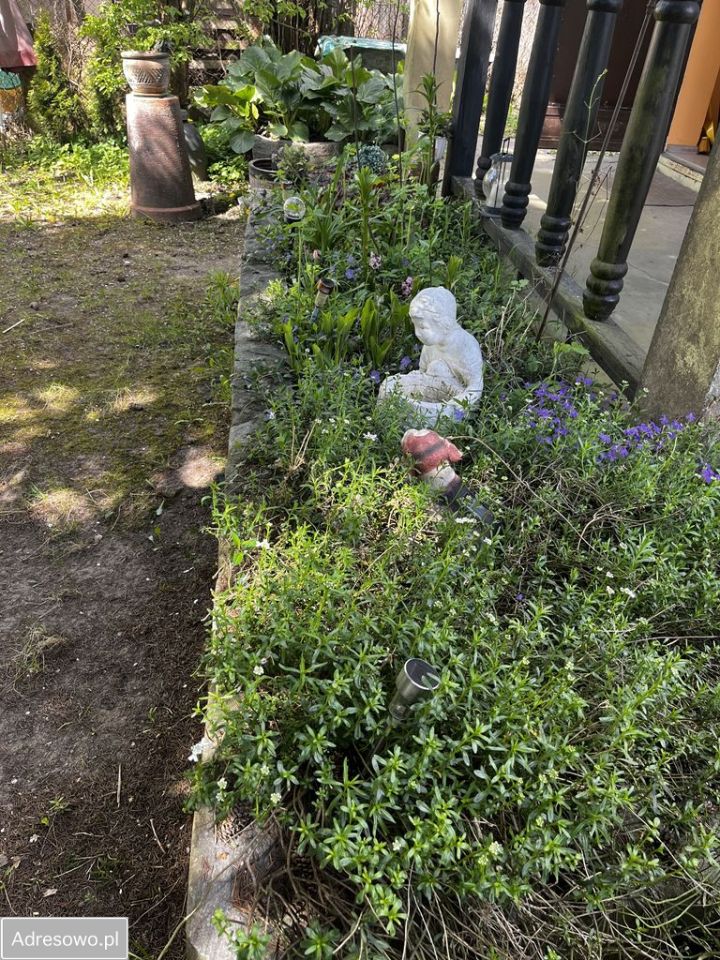 Działka rod Suchy Las. Zdjęcie 9