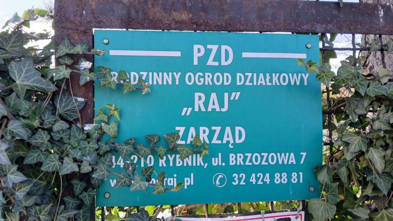 Działka rod Rybnik Maroko-Nowiny, ul. Brzozowa. Zdjęcie 2