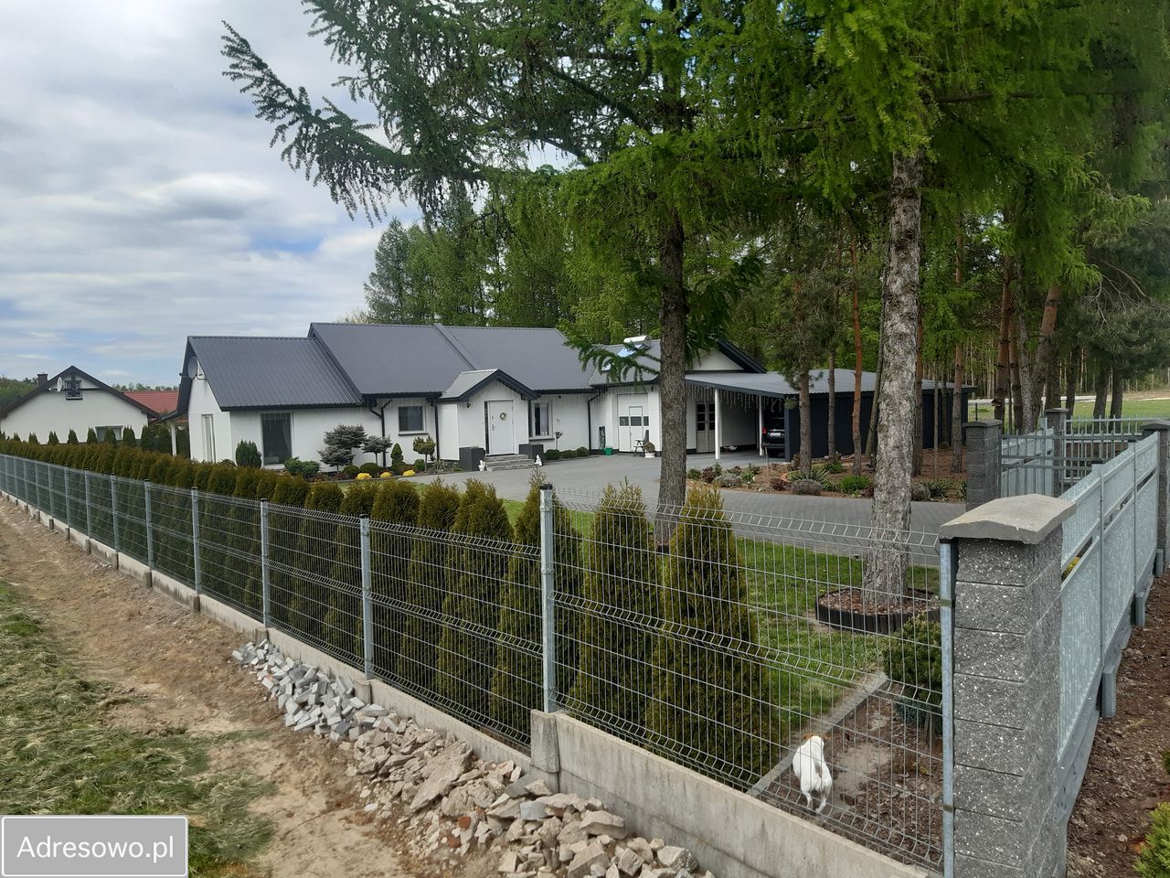 dom wolnostojący, 3 pokoje Niwki. Zdjęcie 5