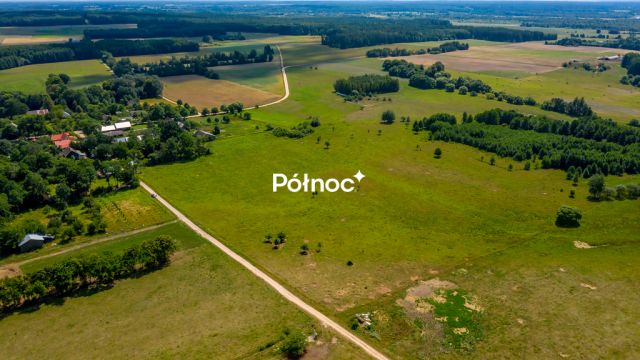 Działka rolna Mieleszki-Kolonia. Zdjęcie 10