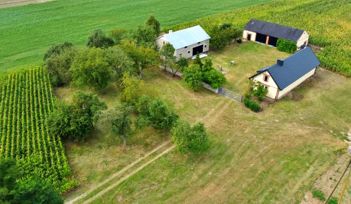 Działka rolno-budowlana Karszew