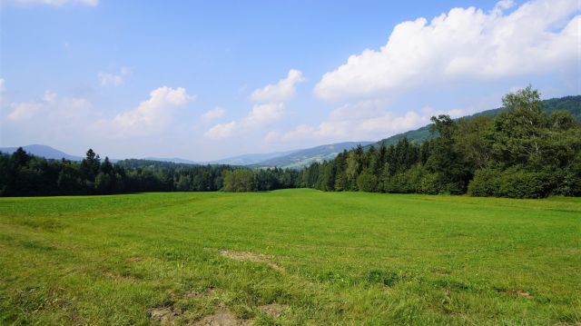 Działka rolno-budowlana Klimkówka. Zdjęcie 7