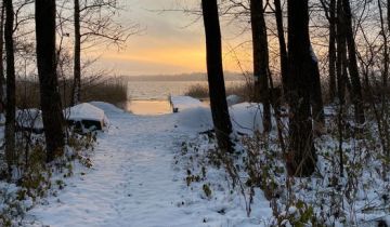 Działka leśna Elganowo