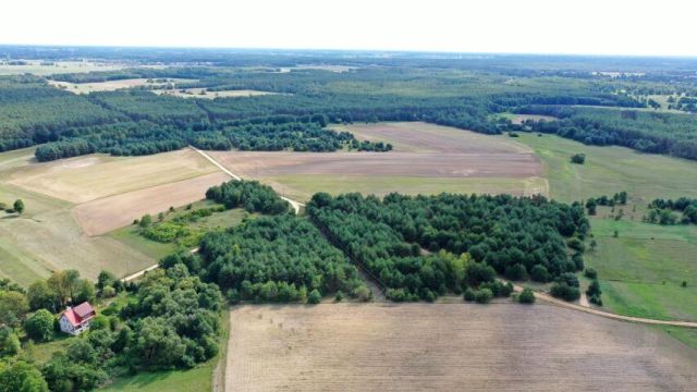 Działka rolna Osetno. Zdjęcie 6