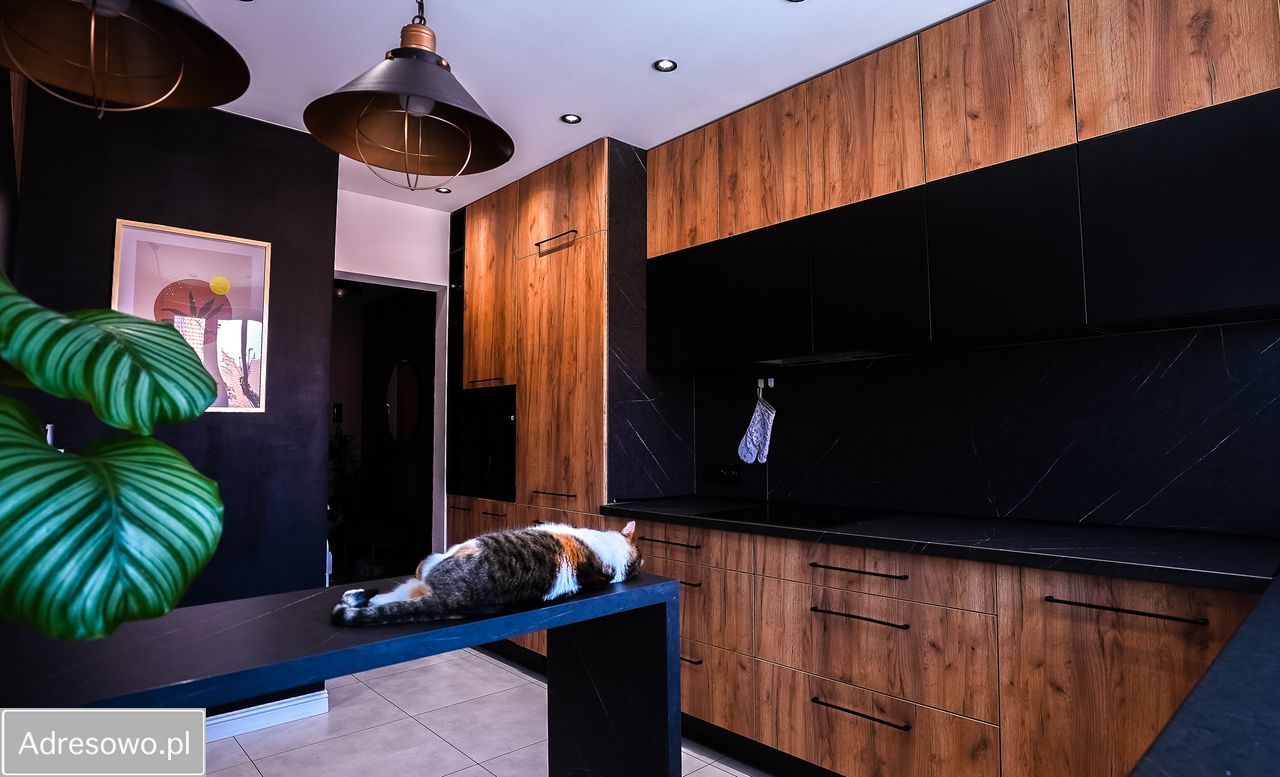 Mieszkanie 3-pokojowe Bytom Śródmieście, ul. Zygmunta Starego. Zdjęcie 20