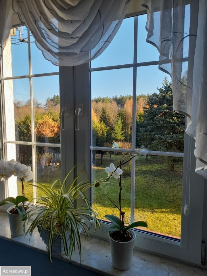 dom wolnostojący, 5 pokoi Czapla. Zdjęcie 5