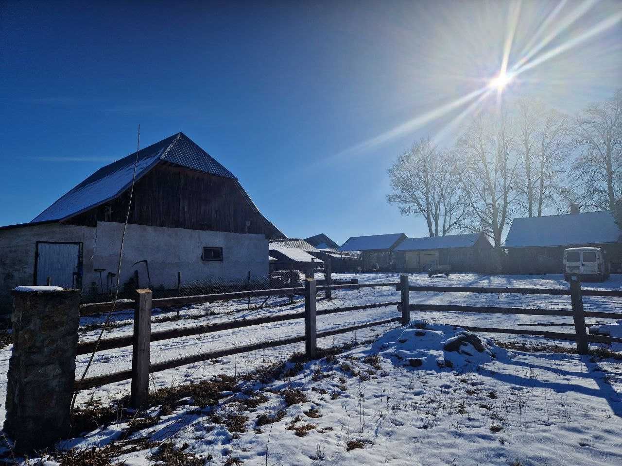 siedlisko Mieleszkowce Pawłowickie. Zdjęcie 8