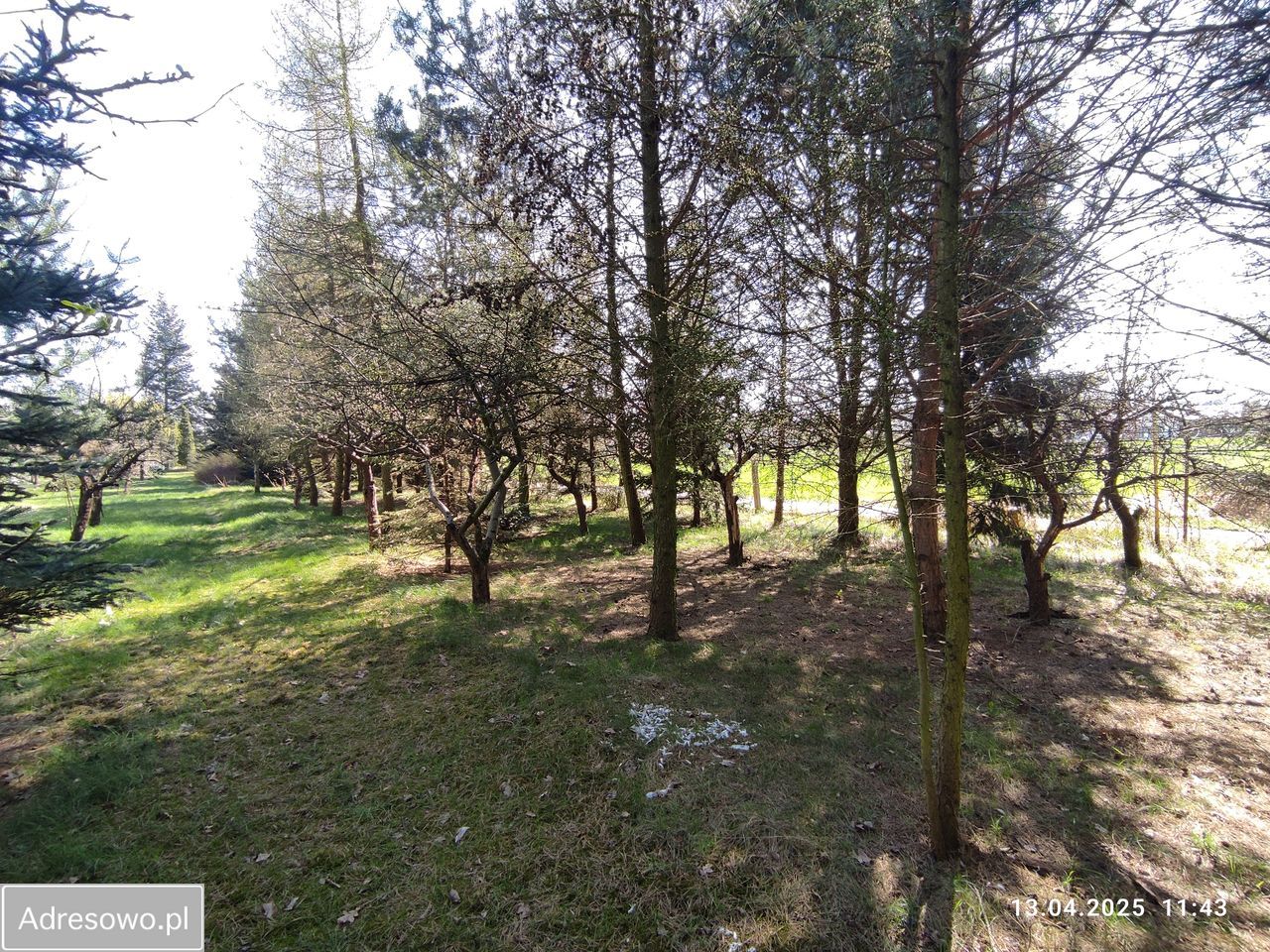 Działka budowlana Łódź Bałuty, ul. Klinowa