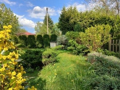 Działka rod Ząbki, ul. Stefana Batorego. Zdjęcie 3