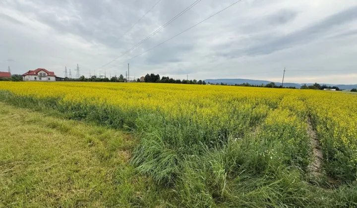 Działka budowlana Stary Waliszów