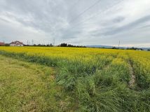 Działka budowlana Stary Waliszów