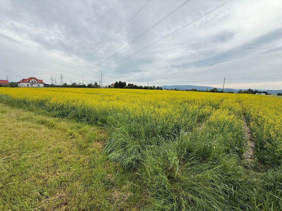 Działka budowlana Stary Waliszów