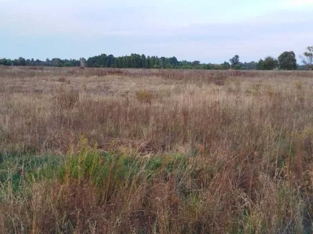 Działka budowlana Stare Załubice. Zdjęcie 1