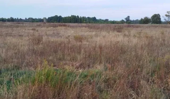 Działka budowlana Stare Załubice