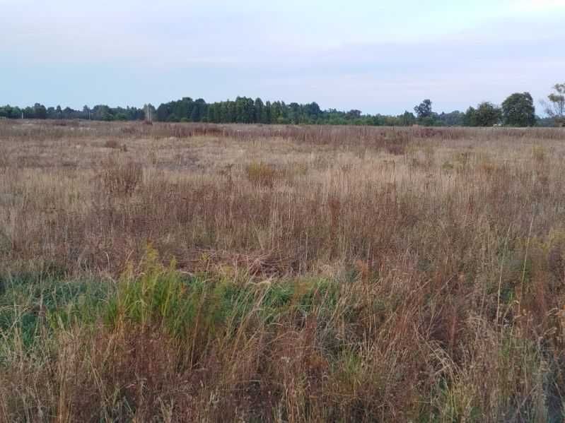 Działka budowlana Stare Załubice