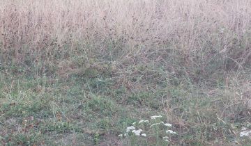 Działka budowlana Rybnik Chwałęcice