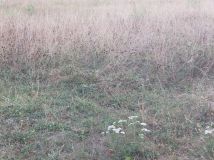 Działka budowlana Rybnik Chwałęcice. Zdjęcie 1