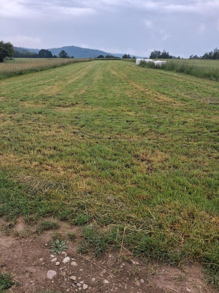 Działka rolna Zdonia Biała Góra, Zdonia. Zdjęcie 1