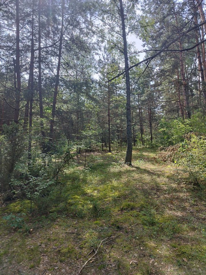 Działka budowlana Rakówka. Zdjęcie 2