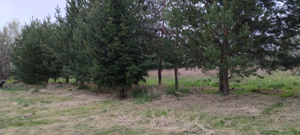 Działka budowlana Sulistrowice. Zdjęcie 3